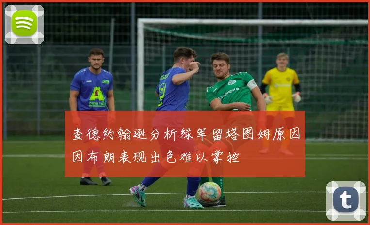 查德约翰逊分析绿军留塔图姆原因因布朗表现出色难以掌控