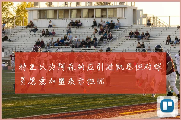 特里认为阿森纳应引进凯恩但对球员愿意加盟表示担忧